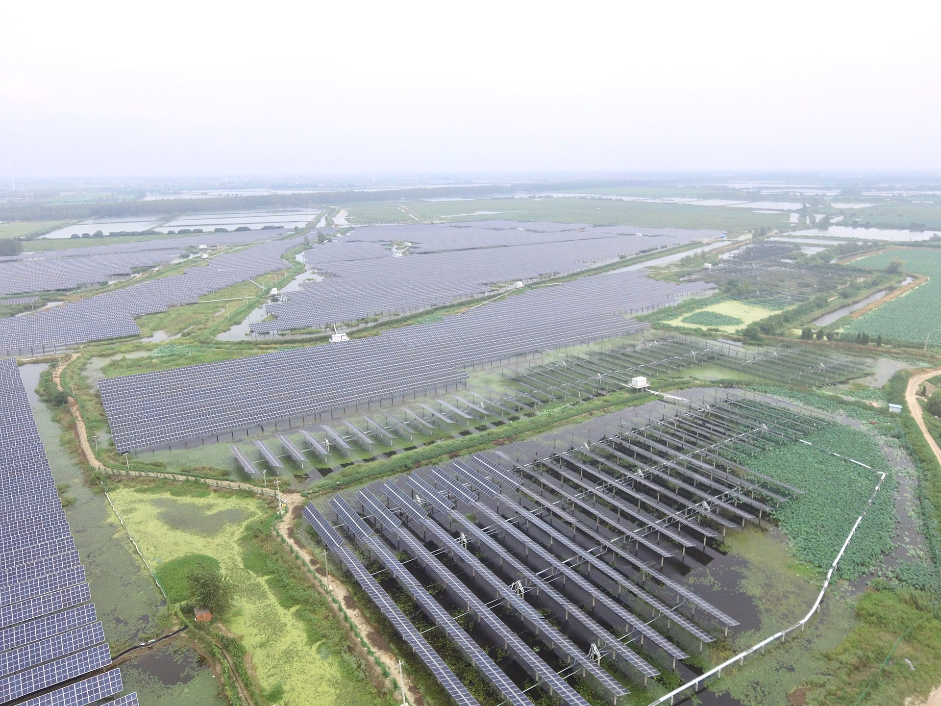js3333线路检测中心(中国)3333线路检测中心(中国)科技江苏扬州宝应光伏发电应用领跑基地2号100兆瓦项目
